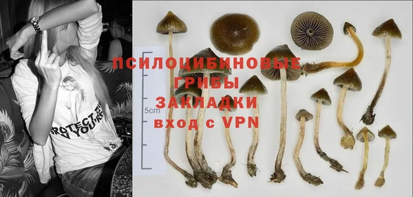 apvp Алексин
